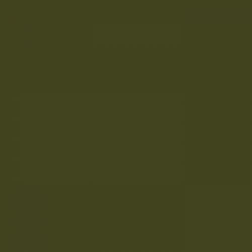 Краска Little Greene цвет Olive Colour 72