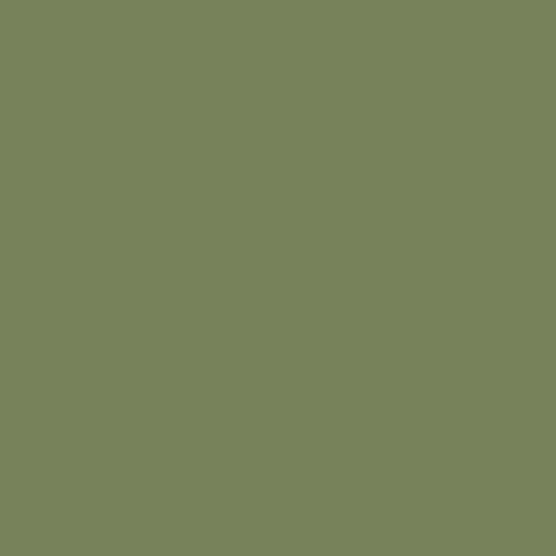 Краска Little Greene цвет Sage Green 80 Acrylic Matt 10 л