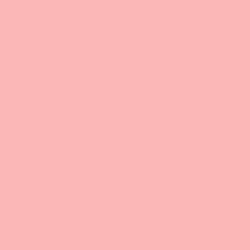 Краска Little Greene цвет NCS  S 0530-R