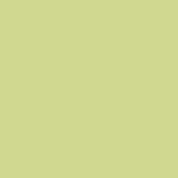 Краска Little Greene цвет NCS  S 1030-G60Y Absolute Matt 0.25 л