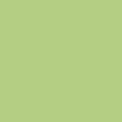 Краска Little Greene цвет NCS  S 1040-G40Y Absolute Matt 0.25 л