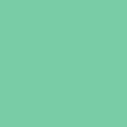 Краска Little Greene цвет NCS  S 1040-G Absolute Matt 0.25 л