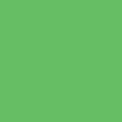 Краска Little Greene цвет NCS  S 1060-G20Y Absolute Matt 0.25 л