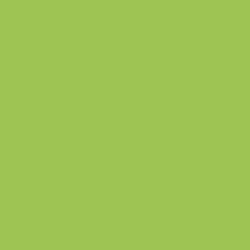 Краска Little Greene цвет NCS  S 1060-G40Y Absolute Matt 0.25 л