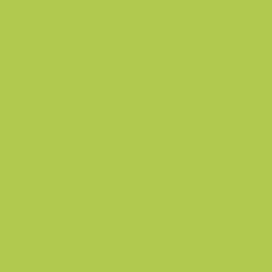Краска Little Greene цвет NCS  S 1060-G50Y Absolute Matt 0.25 л