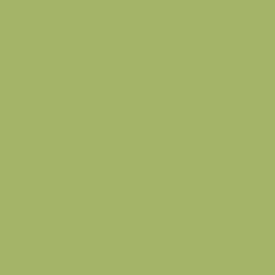 Краска Little Greene цвет NCS  S 2040-G50Y Absolute Matt 0.25 л