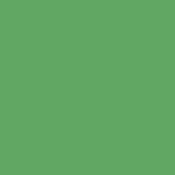 Краска Little Greene цвет NCS  S 2050-G20Y Absolute Matt 0.25 л