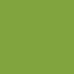 Краска Little Greene цвет NCS  S 2060-G40Y Absolute Matt 0.25 л