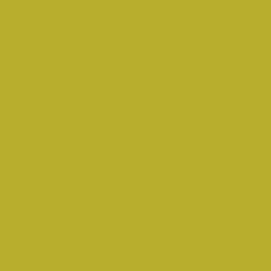 Краска Little Greene цвет NCS  S 2060-G80Y Absolute Matt 0.25 л