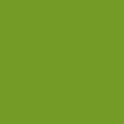 Краска Little Greene цвет NCS  S 2070-G40Y Absolute Matt 0.25 л