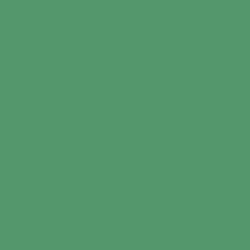Краска Little Greene цвет NCS  S 3040-G10Y Absolute Matt 0.25 л