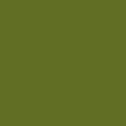 Краска Lanors Mons цвет NCS  S 4550-G50Y Exterior 4.5 л
