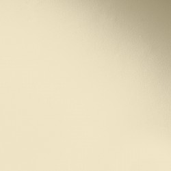 Краска Paint and Paper Library цвет Clay III 503