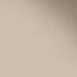 Краска Paint and Paper Library цвет Desert Rose 243