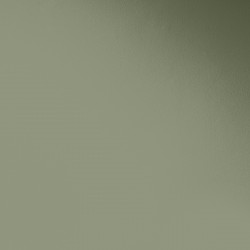 Краска Paint and Paper Library цвет Greenback 579