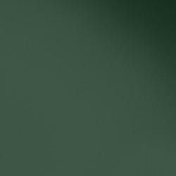 Краска Paint and Paper Library цвет Hunter Dunn 523