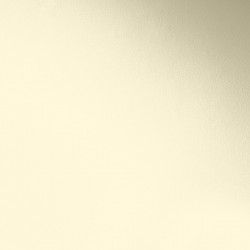 Краска Paint and Paper Library цвет Ivory II 462