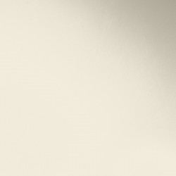 Краска Paint and Paper Library цвет Leather I 231