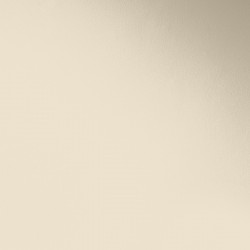 Краска Paint and Paper Library цвет Leather II 232