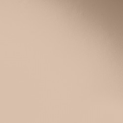 Краска Paint and Paper Library цвет Temple 238