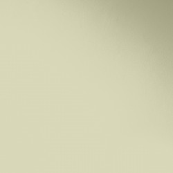 Краска Paint and Paper Library цвет Willow IV 534