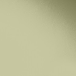 Краска Paint and Paper Library цвет Willow V 535