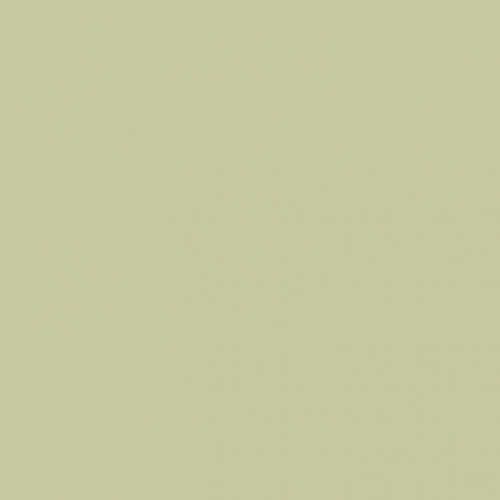 Краска Paint and Paper Library цвет Artichoke 568 Pure Flat Emulsion 0,125 л