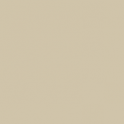 Краска Paint and Paper Library цвет Canvas IV 304