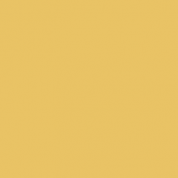 Краска Paint and Paper Library цвет Chinese Emperor 478