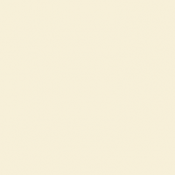 Краска Paint and Paper Library цвет Clay II 502