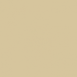 Краска Paint and Paper Library цвет Clay V 505