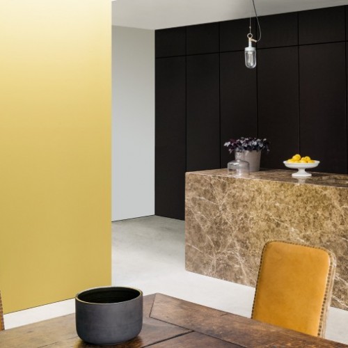 Краска Paint and Paper Library цвет Copper Beech 314 Pure Flat Emulsion 0,125 л Краска Paint and Paper Library цвет Copper Beech 314 Pure Flat Emulsion 0,125 л