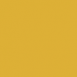 Краска Paint and Paper Library цвет Gamboge 484