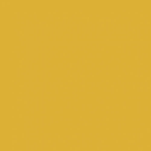 Краска Paint and Paper Library цвет Gamboge 484 Pure Flat Emulsion 0,125 л Краска Paint and Paper Library цвет Gamboge 484 Pure Flat Emulsion 0,125 л