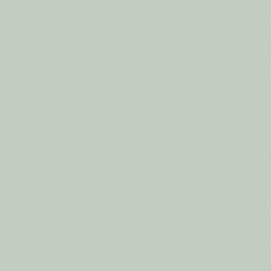 Краска Paint and Paper Library цвет Glass IV 584