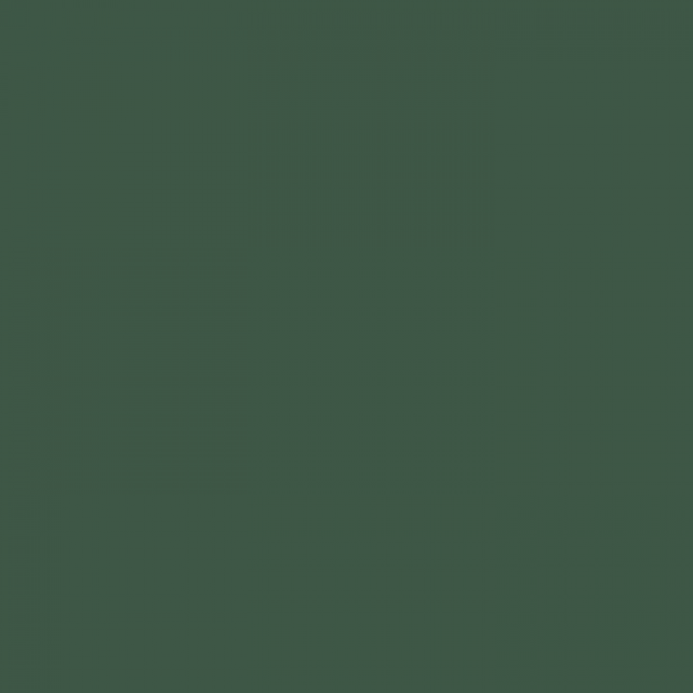 Краска Paint and Paper Library цвет Hunter Dunn 523 Pure Flat Emulsion 2,5 л купить по цене 9100