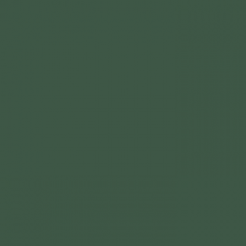 Краска Paint and Paper Library цвет Hunter Dunn 523 Pure Flat Emulsion 2,5 л купить по цене 9100