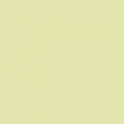 Краска Paint and Paper Library цвет Pale Georgian 542