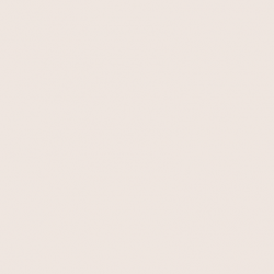 Краска Paint and Paper Library цвет Plaster II 402