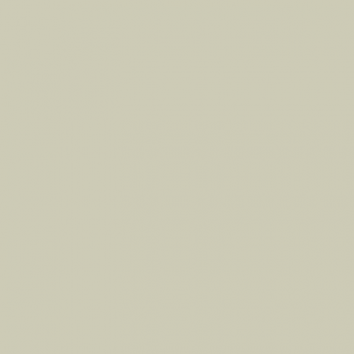 Краска Paint and Paper Library цвет Wattle IV 564 Pure Flat Emulsion 0,125 л