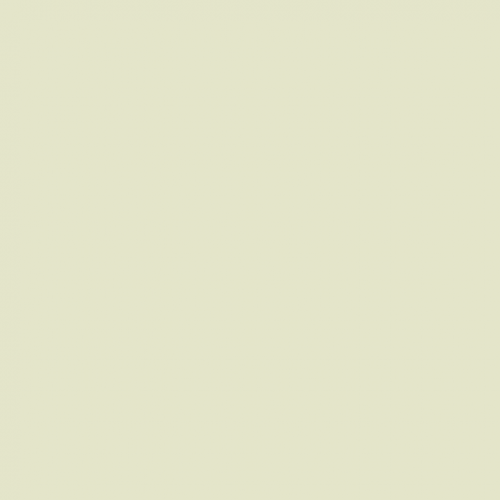 Краска Paint and Paper Library цвет Willow III 533 Pure Flat Emulsion 0,125 л