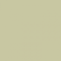 Краска Paint and Paper Library цвет Willow V 535