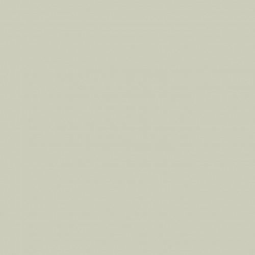 Краска Sanderson цвет Driftwood Grey Light Active Emulsion 0,2 л
