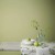 Краска Sanderson цвет Green Almond Active Emulsion  л