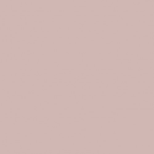 Краска Sanderson цвет Rose Ash Light Active Emulsion 0,2 л