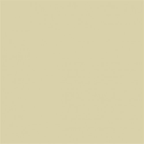 Краска Sanderson цвет Beach Tan Active Emulsion 0,2 л