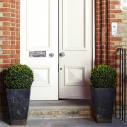 Краска Zoffany цвет Perfect White