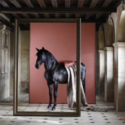 Краска Zoffany цвет Russet