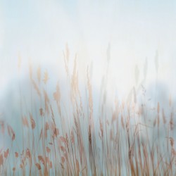 Панно Affresco Trend Art ZK420-COL2 2x2,01 м