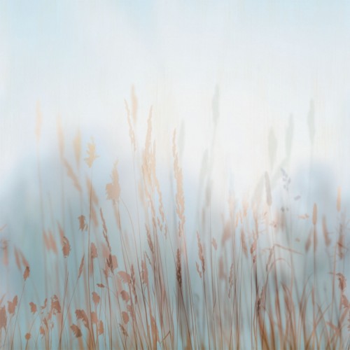 Панно Affresco Trend Art ZK420-COL2 2x2,01 м Панно Affresco Trend Art ZK420-COL2 2x2,01 м